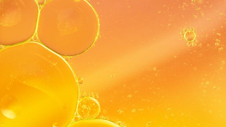 gut health 101