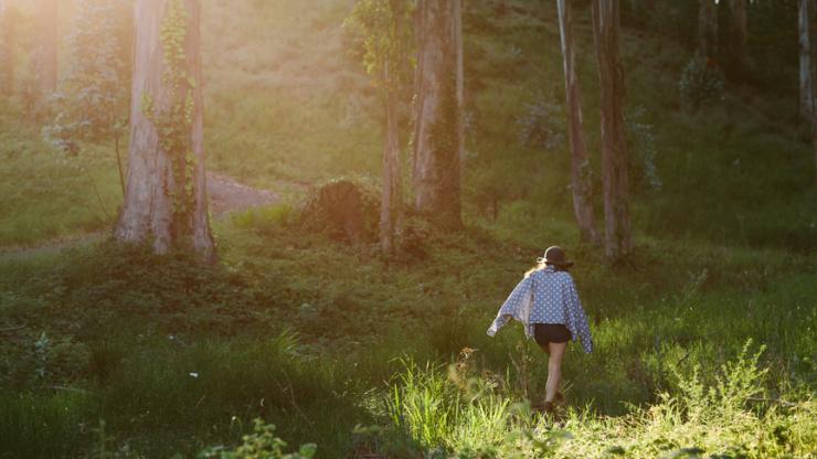 forest-bathing