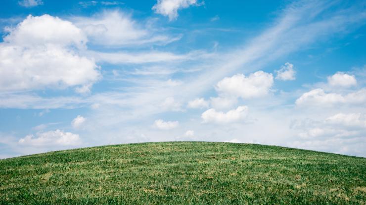 green gras under blue sky
