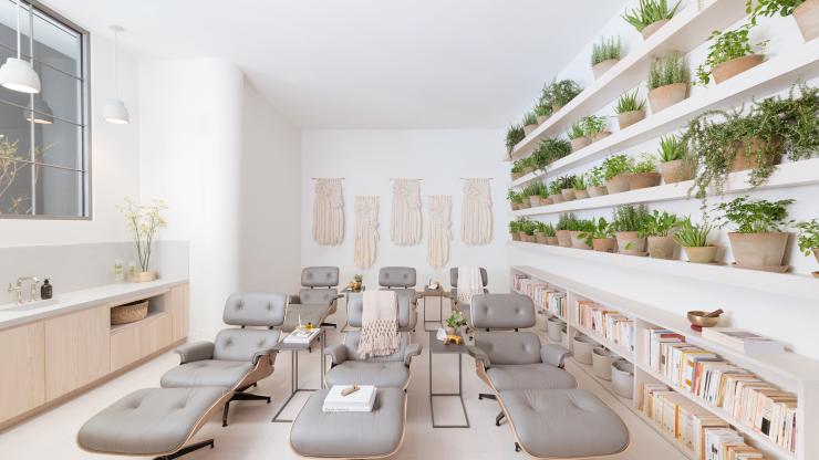 legan reflexology