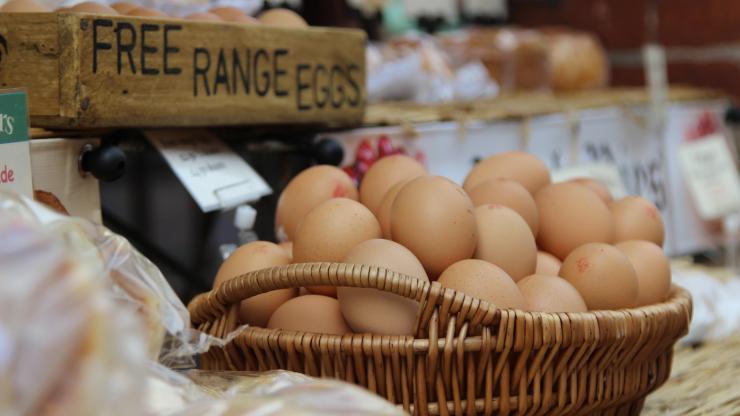 Free Range Eggs In Basket