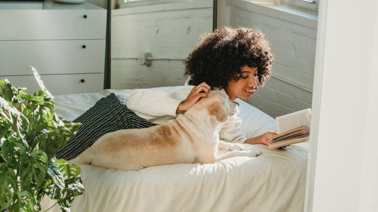 Woman Reading on a Bed