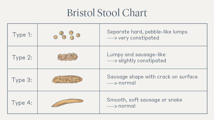 Infographic of the Bristol Stool Chart
