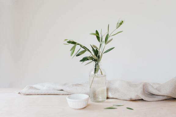 THE WELL // welcome to wellness